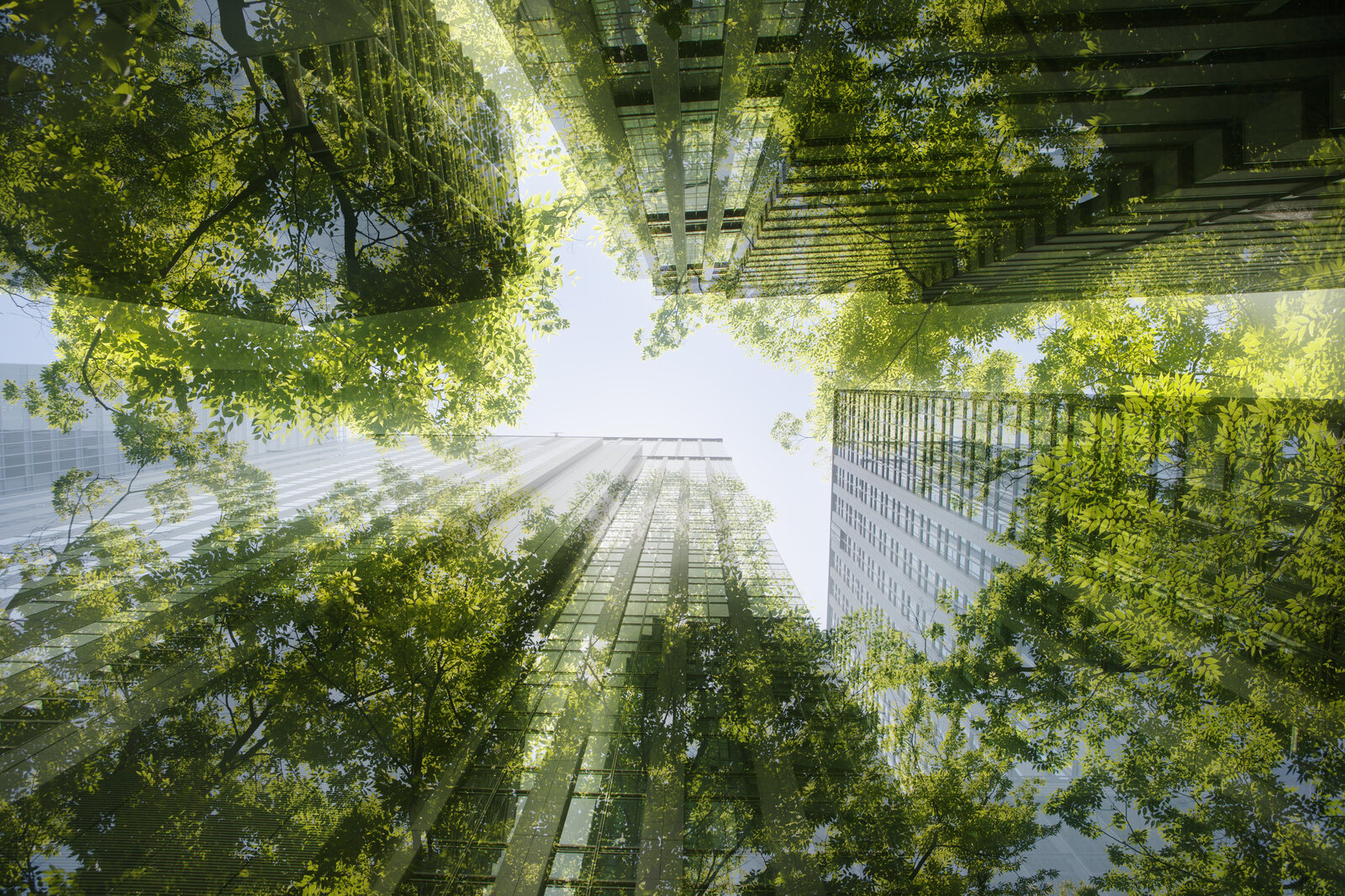 Sustainable Lighting Trends to Watch This Year
